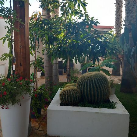 Villa Raggio Di Sole Parcheggio Privato 切萨雷奥港 外观 照片