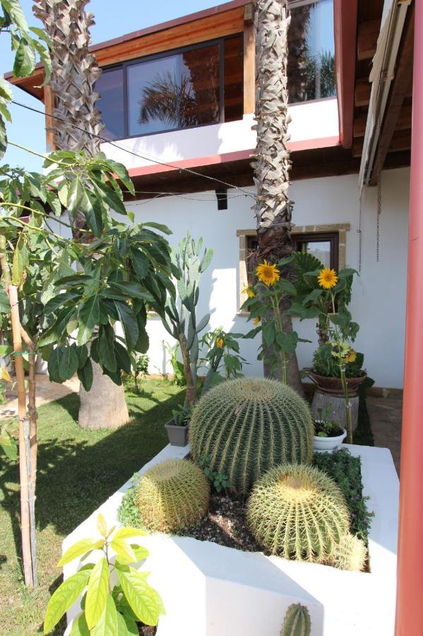 Villa Raggio Di Sole Parcheggio Privato 切萨雷奥港 外观 照片