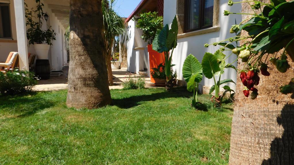Villa Raggio Di Sole Parcheggio Privato 切萨雷奥港 外观 照片